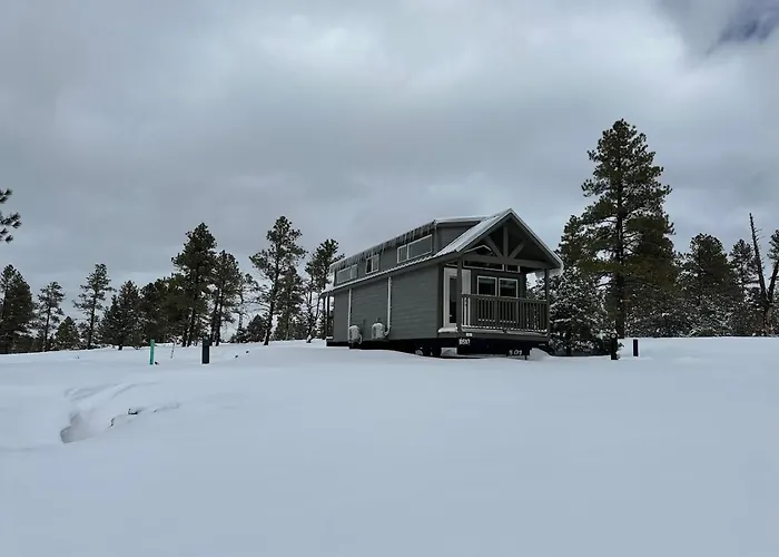 Cozy Cabin With Mountain View 6A